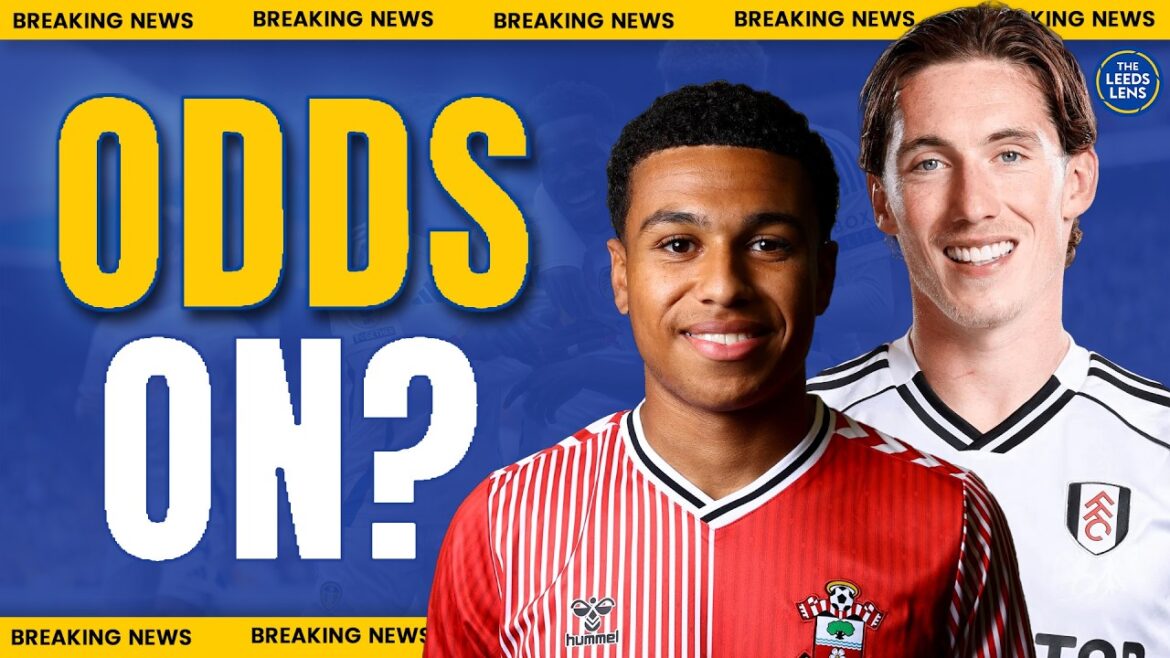 Wilson Transfer Boost! | Shea Charles Latest | Leeds to Sue Leicester? | Leeds United News