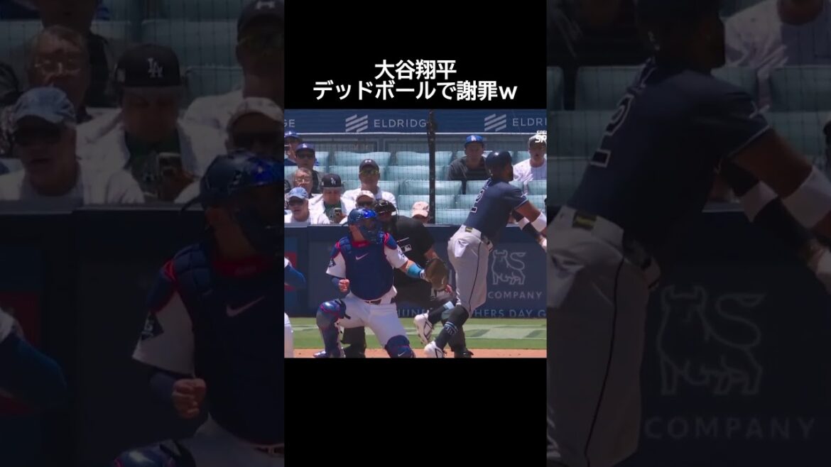Shohei Otani apologizes for dead ball! #Baseball #mlb #Shohei Otani