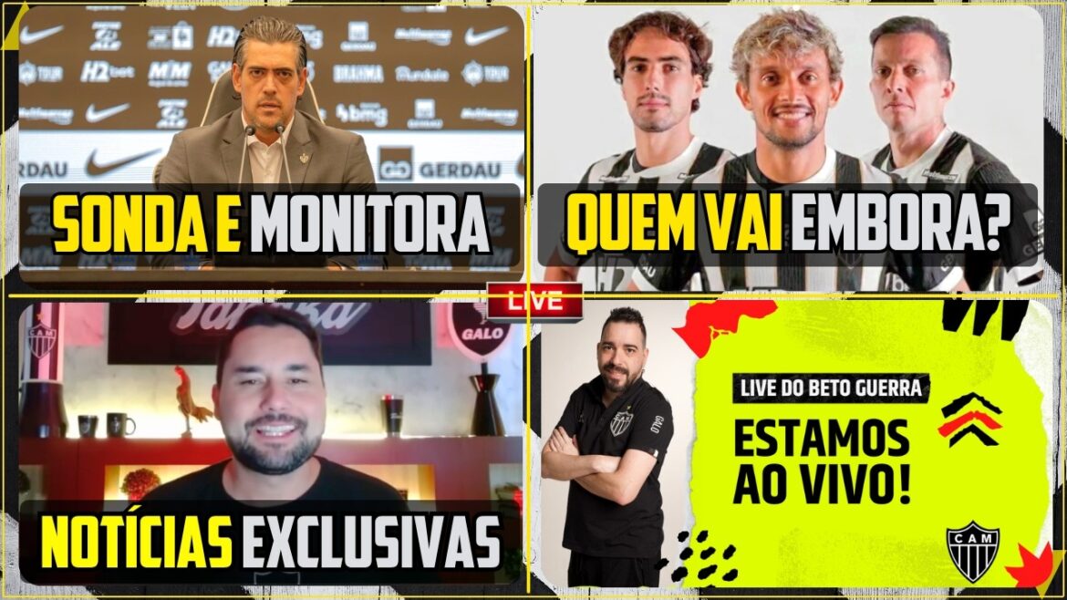 ⚽ BALL MARKET 🔥 HOT NEWS 🔴 TANAKA LIVE ⚽ BALL MARKET 🔥 HOT NEWS 🔴 TANAKA LIVE