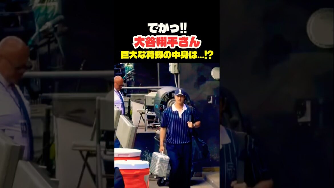 Shohei Otani What's inside his huge luggage? 😳 #Shohei Ohtani #mlb #shorts #dodgers #Dodgers #Baseball #ohtani #baseball