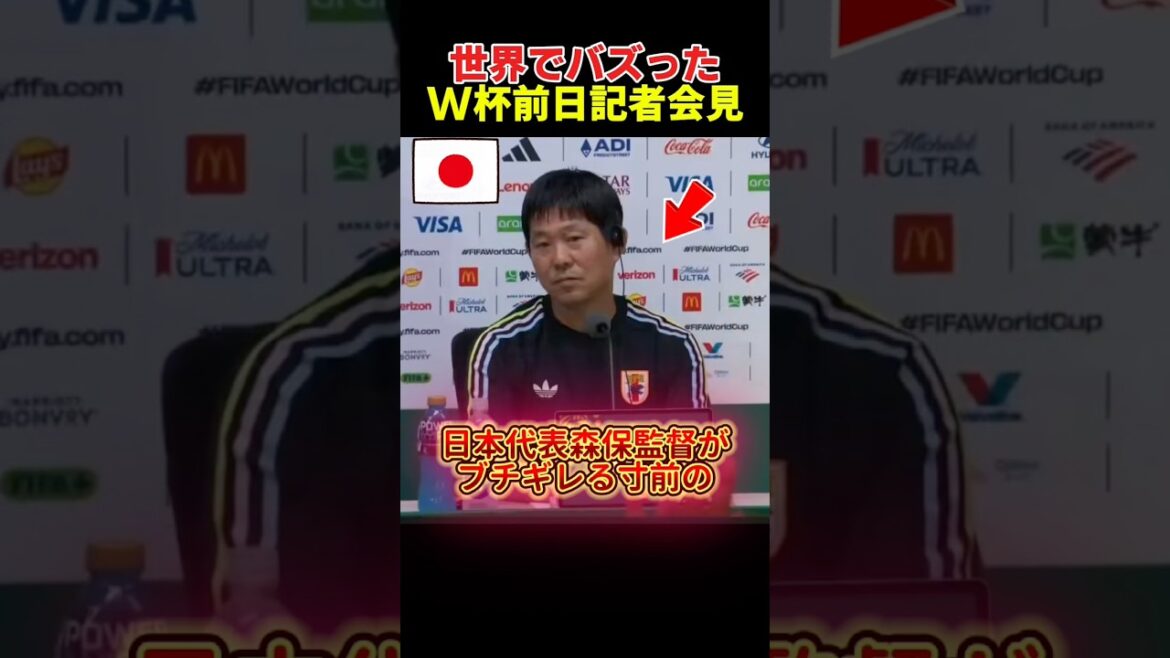 Press conference on the eve of the World Cup