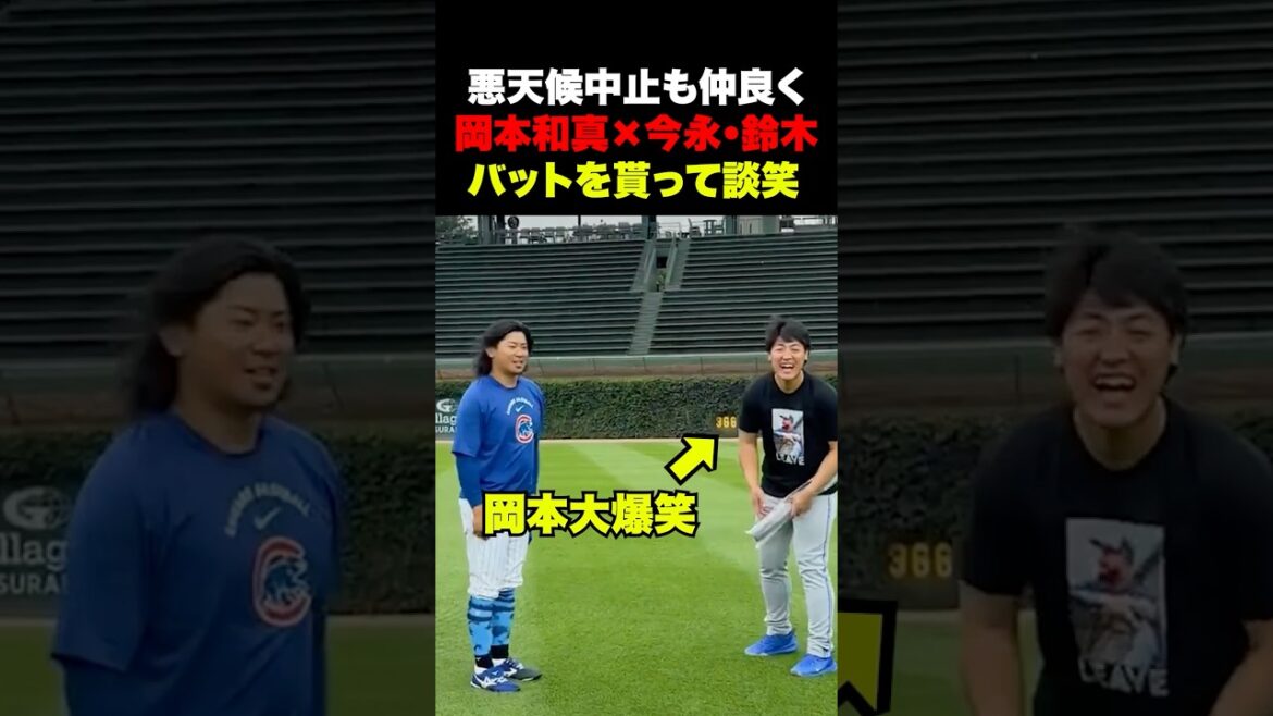 Kazuma Okamoto, Shota Imanaga, and Seiya Suzuki have a friendly chat 🔥 Match canceled due to bad weather ☔️