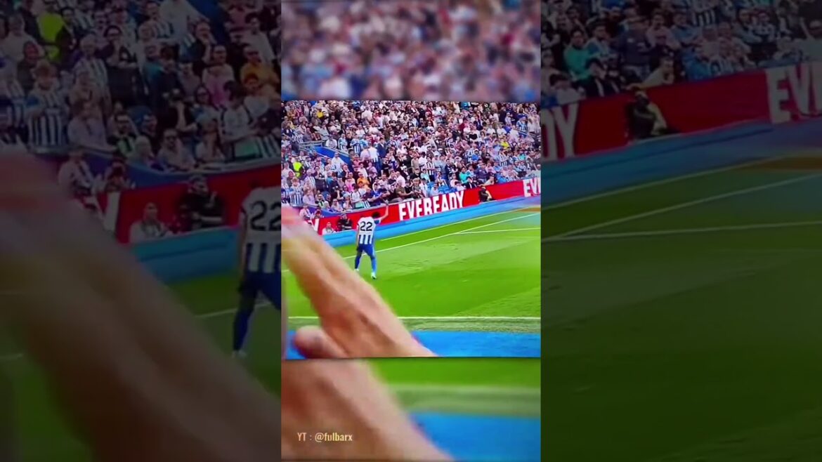 Japan Lost Their Stars… And Got Stronger Japan Lost Their Stars... And Got Stronger