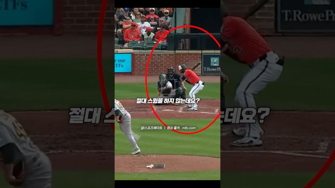 A crazy hitter who tolerates all pitches ㄷㄷ