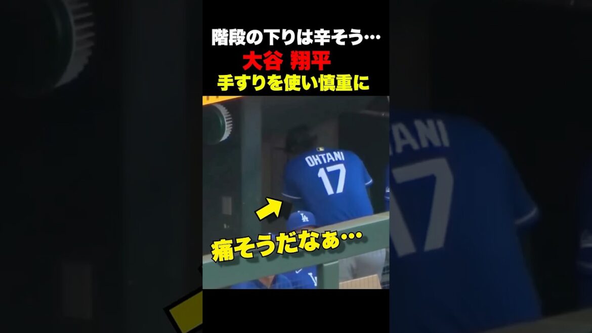 Shohei Otani carefully descends the stairs and goes behind the bench… Shohei Otani carefully descends the stairs and goes behind the bench...