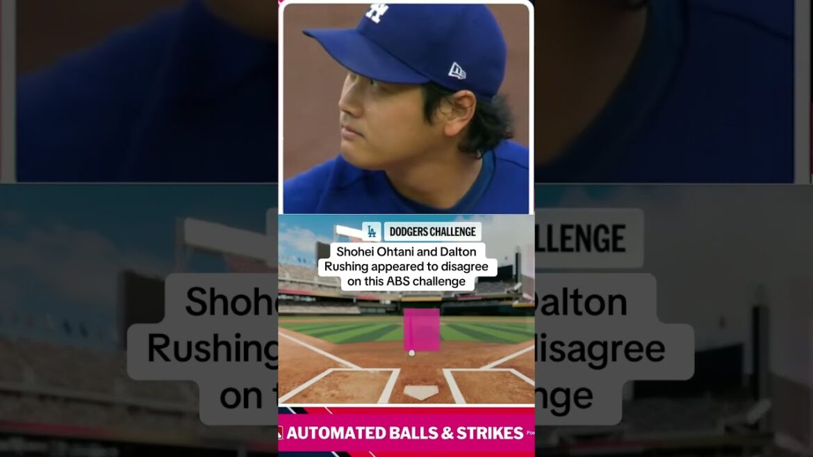 Shohei ended up being correct after the review.