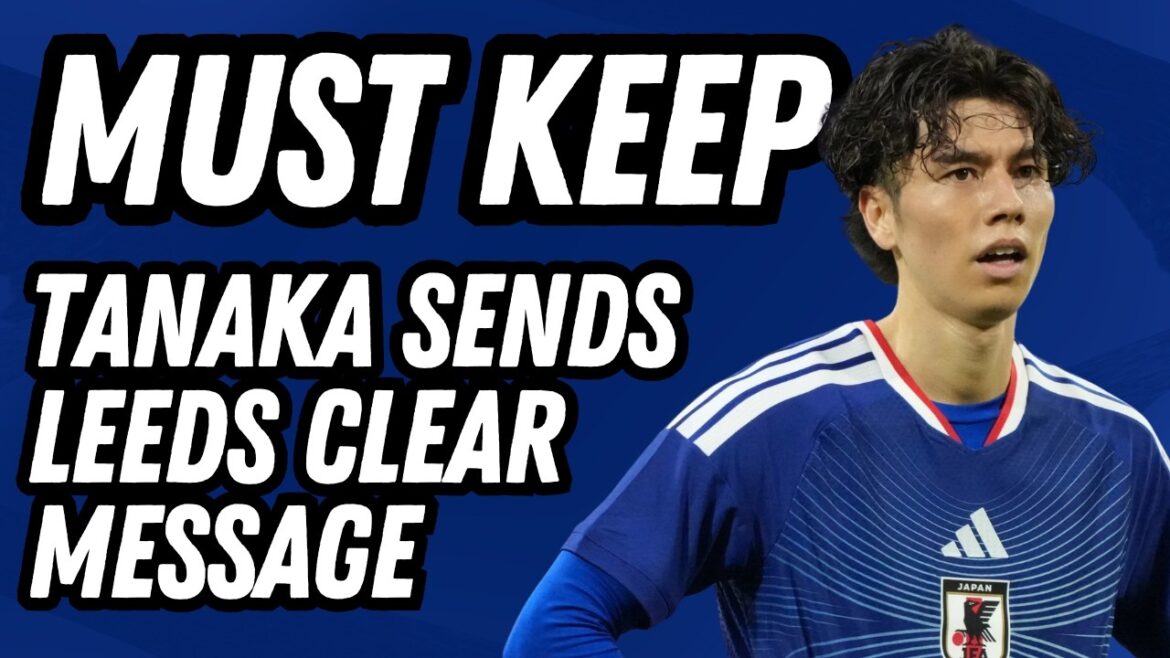 WORLD CUP STAR! Ao Tanaka's Clear Message To Daniel Farke