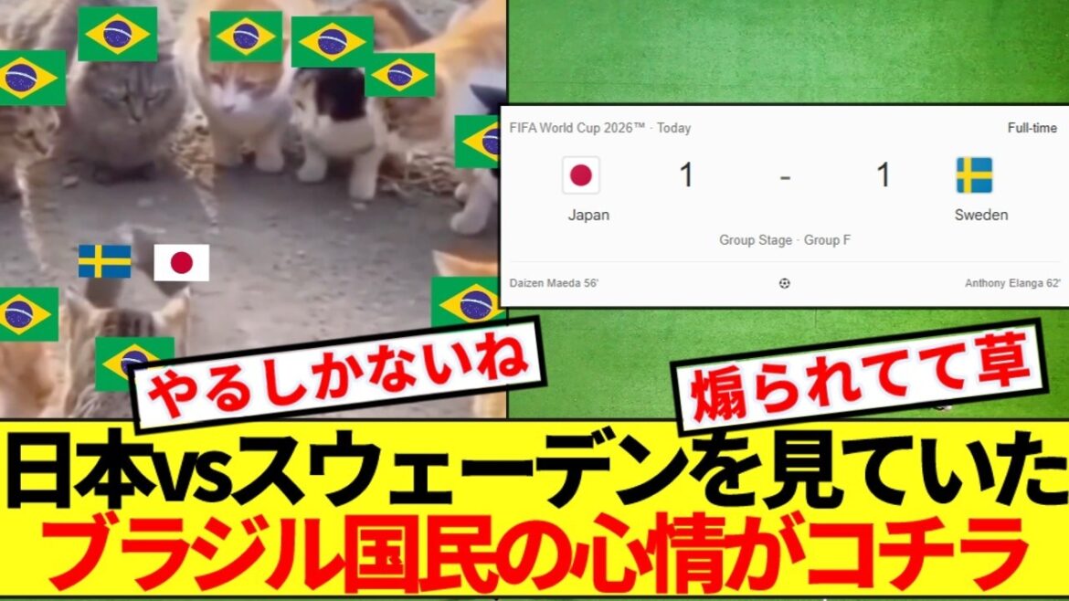 [Brazil's reaction]This seems to be the sentiment of the Brazilian people watching Japan vs Sweden lol