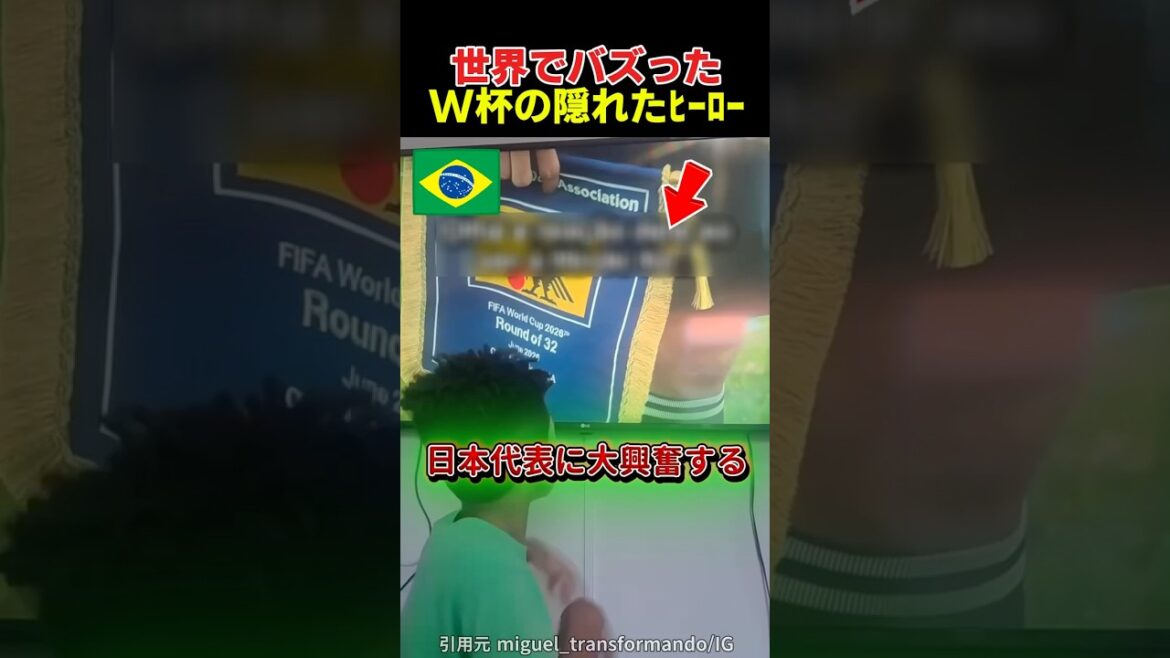 The hidden heroes of the World Cup that went viral around the world The hidden heroes of the World Cup that went viral around the world
