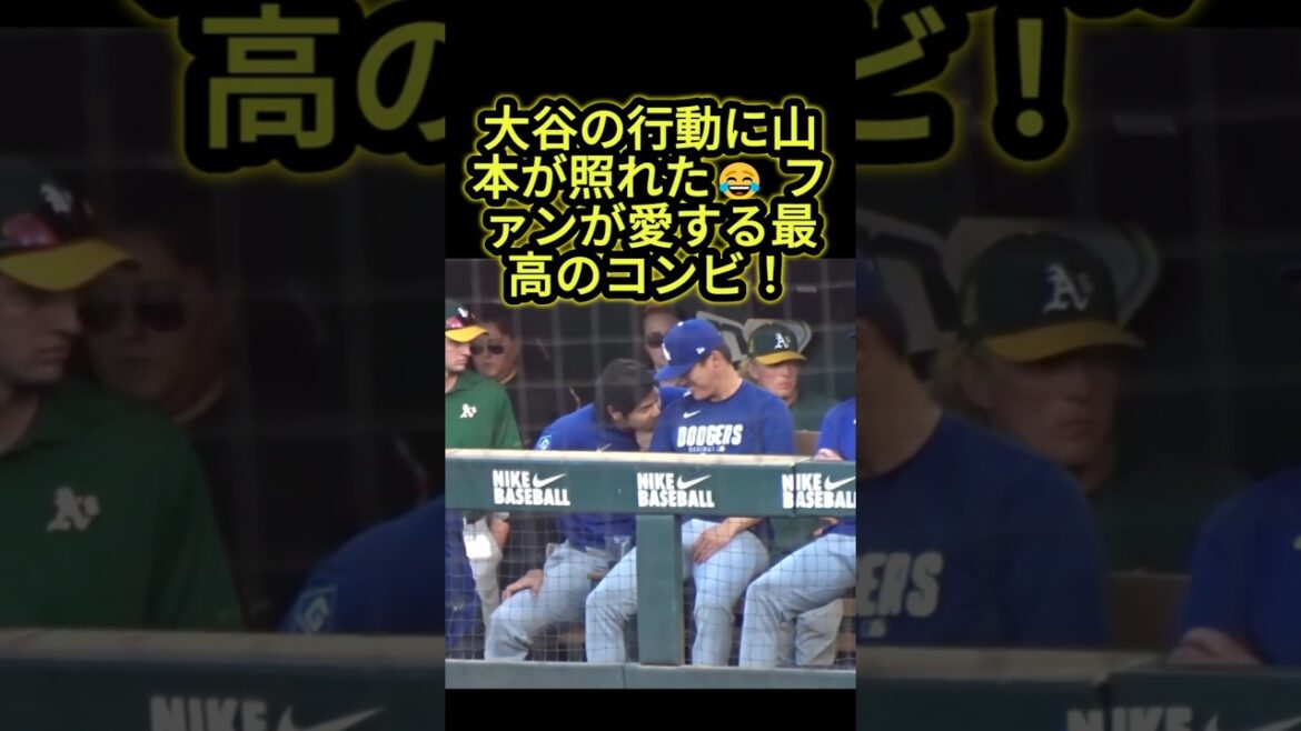 [Shohei Otani]Yoshinobu Yamamoto blushes... Otani's shoulder kiss!? The reason why fans love the bond between the two is a hot topic 🤣😂 #Shohei Otani #Yoshinobu Yamamoto #mlb