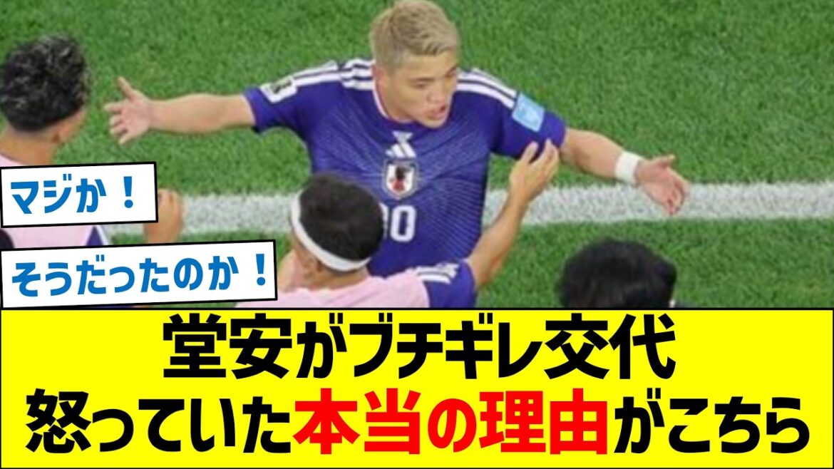 [The truth]Ritsu Doan was substituted in the match against Sweden, and here is the real reason why he was angry.