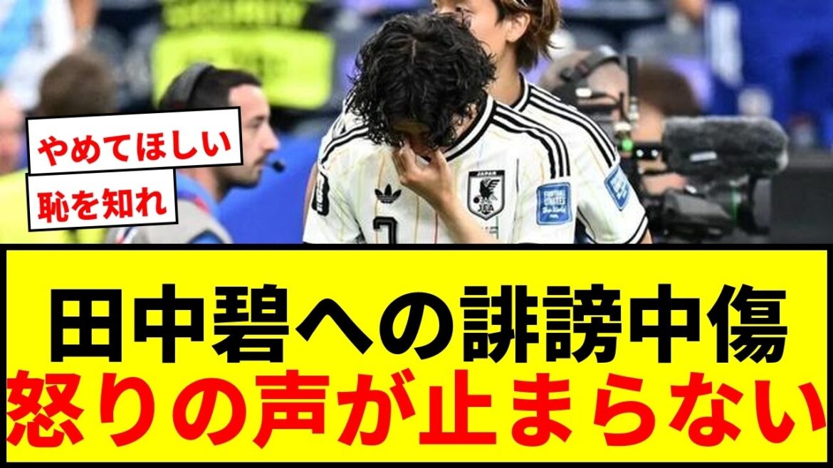 [World Cup]Many voices of anger over the slander against Aoi Tanaka: “Shame on you.” What is the future of the Japanese national team?