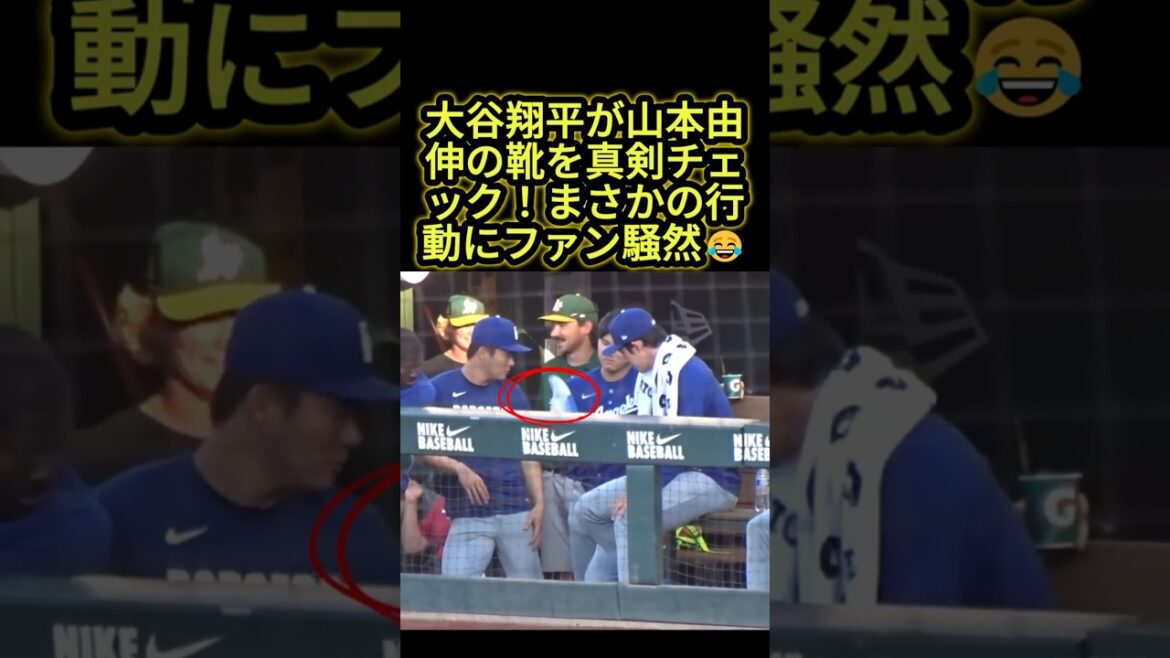 Shohei Otani seriously checks Yoshinobu Yamamoto's shoes! Fans are in an uproar over his unexpected action 😂 #Shohei Otani #Dodgers #mlb