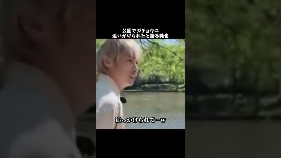 Junya talks about being chased by a goose in the park lol #Junya Ito #Japan National Soccer Team #shorts