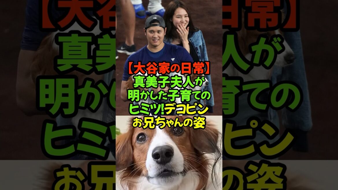 Mrs. Mamiko reveals a little about her daily life to those involved! #Shohei Otani #Mrs. Mamiko #Decopin #Dodgers #Parenting Diary #Family Bonds Mrs. Mamiko reveals a little about her daily life to those involved! #Shohei Otani #Mrs. Mamiko #Decopin #Dodgers #Parenting Diary #Family Bonds