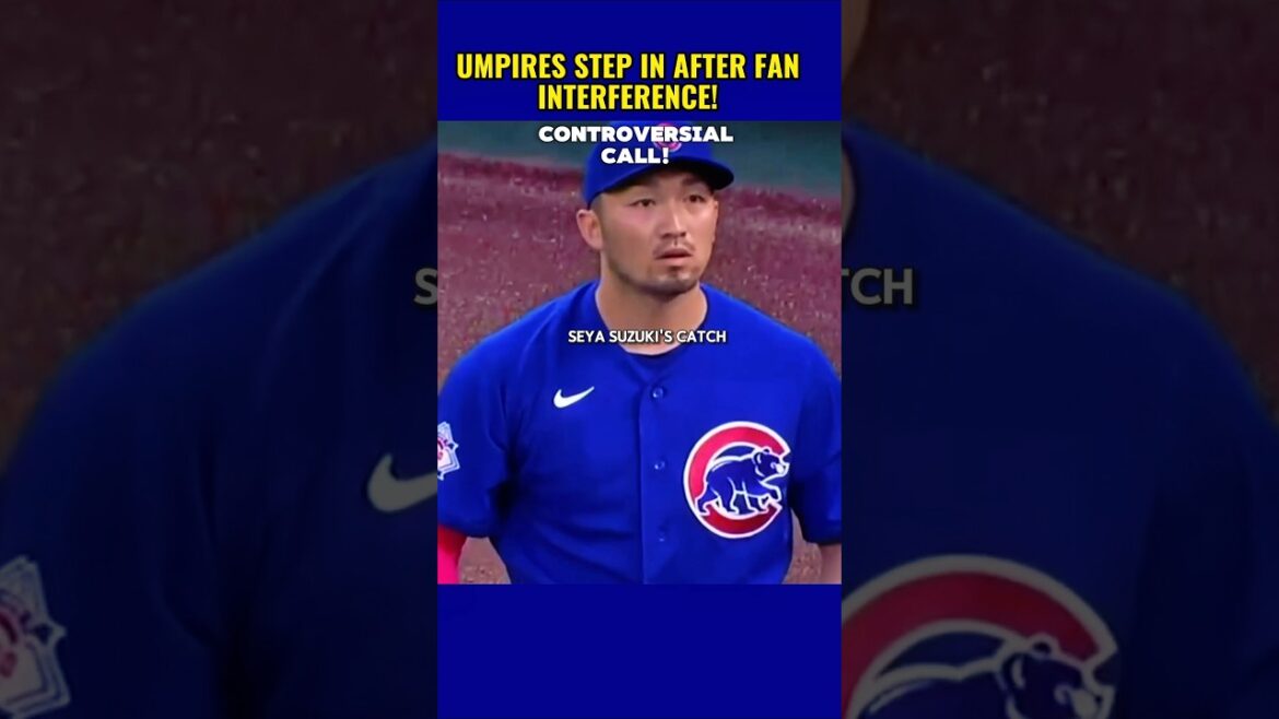 FAN INTERFERENCE STUNS THE GAME! #baseball #shortfeed #homerunchallenge