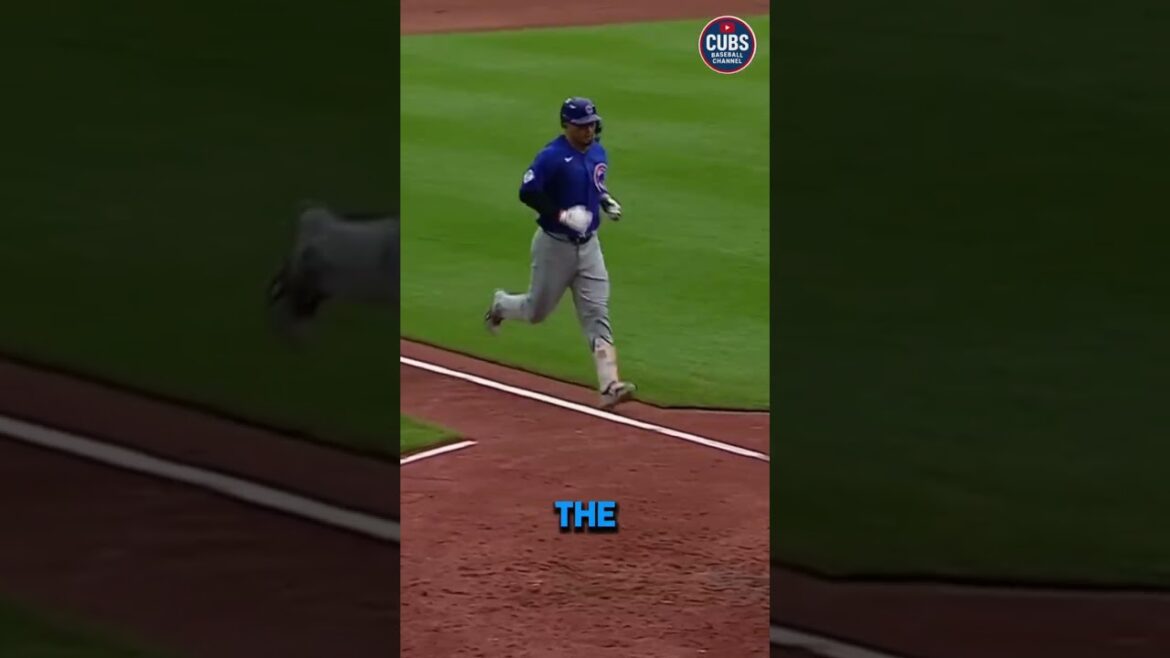 SUZUKI ON THE MOVE? | Cubs Baseball Channel SUZUKI ON THE MOVE? | Cubs Baseball Channel