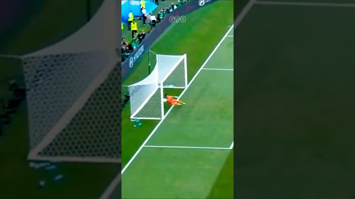 Eiji Kawashima Best Saves