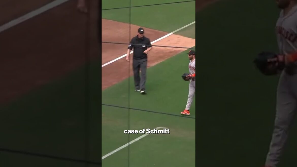 “CATCH THE 🤬 BALL!” #shorts "CATCH THE 🤬 BALL!" #shorts