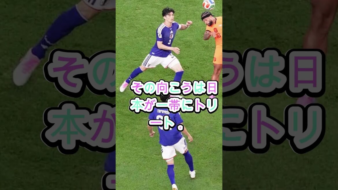 The Dutch players have been criticized for their foolish behavior during the match against Japan.