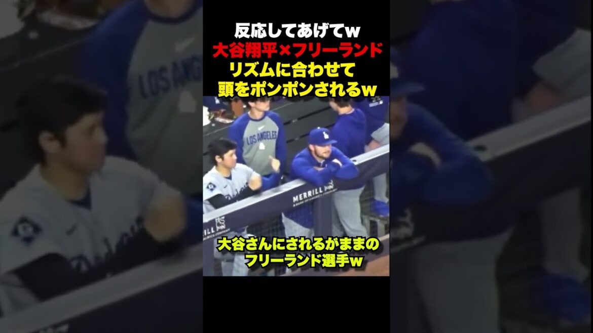 A player who is left to his own devices by Shohei Otani on the bench lol A player who is left to his own devices by Shohei Otani on the bench lol