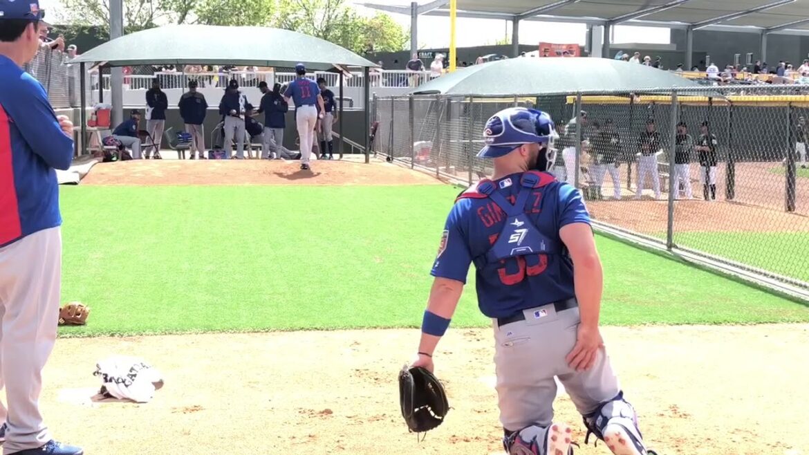 Yu Darvish bullpen warmup Spring Training