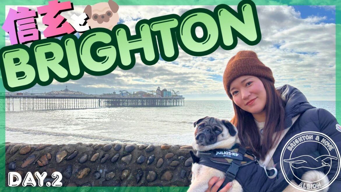 [Brighton Day 2]Go to the popular shop with Kaoru Mitoma! Walk around dog-friendly Brighton with Shingen🐶