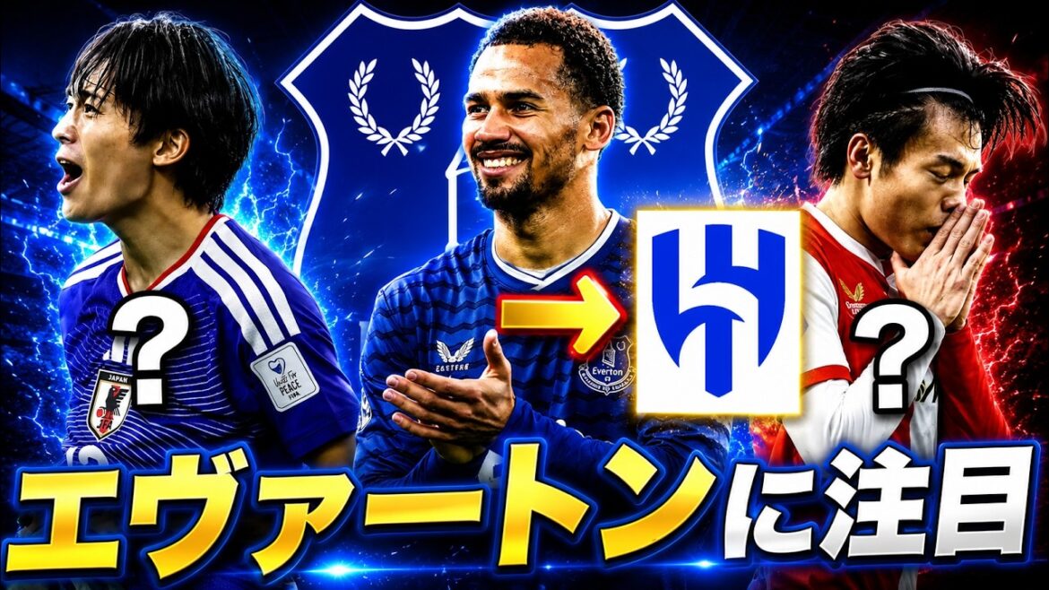 Focus on Everton